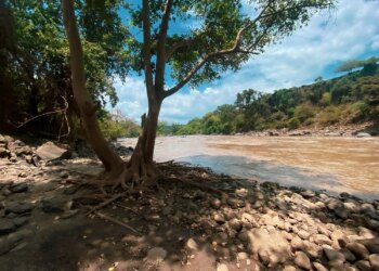 Запаси води в Європі виснажуються через кліматичні зміни – Guardian
