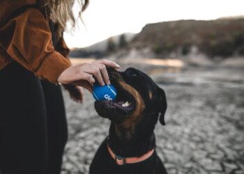 Вмешается “ZULEIKA”: синоптик дал неожиданный прогноз на декабрь