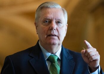 Грем: Пропозиції Залужного щодо гарантій безпеки “значно перевищують можливі”