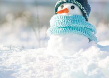 Как трейдеры оценивают вероятность «криптозимы»