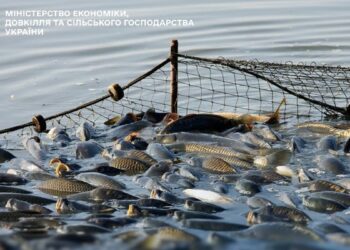 Уряд запровадив електронне декларування права на промислове рибальство