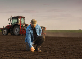 Статус пенсионера больше не спасет: кому всё равно придется платить по счетам