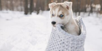 Не только морозы: украинцам рассказали, какой ждать погоды в середине января