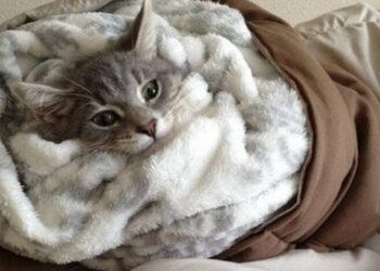 Украинцев предупредили о морозах до -20: где ухудшится погода