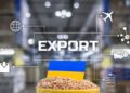 Украинский товар стал настоящими хитом в Китае: опередили даже Европу