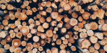 “Ліси України” накопичили на складах понад 220 тис. куб. м дров, яких вистачить для опалення соцсфери, населення і військових
