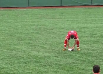 Футболіст реанімував чайку під час матчу в Стамбулі