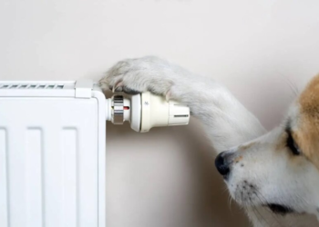 Платите сейчас, экономия – потом? Вскрылась циничная схема повышения тарифов на тепло