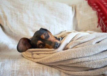 Резкое похолодание и гололедица: как изменится погода в Украине в начале недели