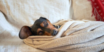 Резкое похолодание и гололедица: как изменится погода в Украине в начале недели