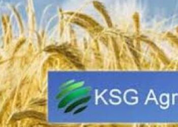 Акции KSG Agro в 2025 году выросли на 60,7% — компания вошла в ТОП-3 лидеров отрасли по капитализации