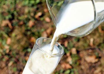 Молочная отрасль Украины оказалась на грани потери 20% промышленного производства – отраслевая ассоциация