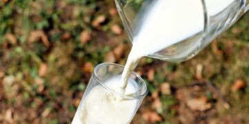 Молочная отрасль Украины оказалась на грани потери 20% промышленного производства – отраслевая ассоциация