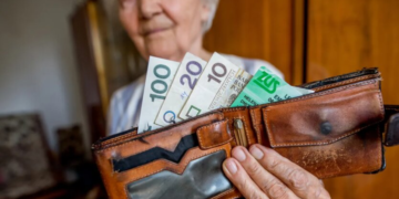 Трудовой стаж в Польше по-новому: что делать, если ZUS не видит данные