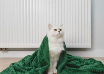 “Это утопия”: эксперт раскрыл правду об автономном отоплении в киевских высотках