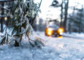 В Украину идут 20-градусные морозы и мокрый снег: прогноз на выходные