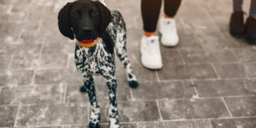 От лютых морозов до +11 тепла: Украину разделит температурная аномалия