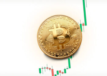 Мнение: К 2041 году биткоин может стоить $50 млн