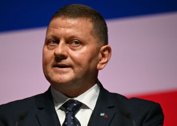 Залужный сделал заявление о политической карьере