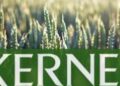 “Кернел” в 2025 году уплатил в бюджет 5,7 млрд грн налогов, несмотря на сокращение чистой прибыли на 33%