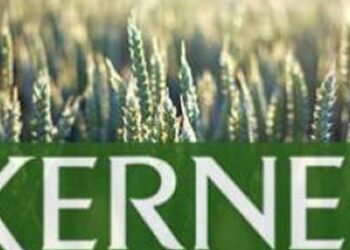 “Кернел” в 2025 году уплатил в бюджет 5,7 млрд грн налогов, несмотря на сокращение чистой прибыли на 33%