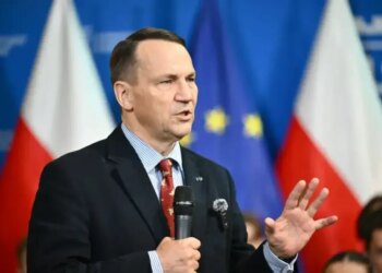 Сікорський розкритикував візит Навроцького до Орбана через зв'язки з кремлем