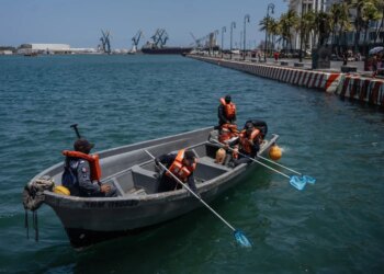 Масштабний розлив нафти вдарив по рибалках у Мексиканській затоці