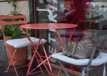 Украинцам выплатят 15 тысяч за блэкауты: кто и как может получить деньги