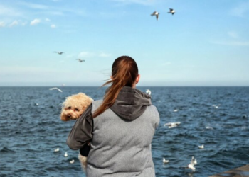 Последний шанс насладиться теплом: синоптик Диденко назвала дату резкого похолодания