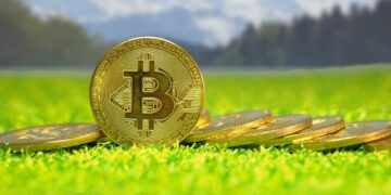 В сибирском лесу нашли замаскированную майнинговую ферму