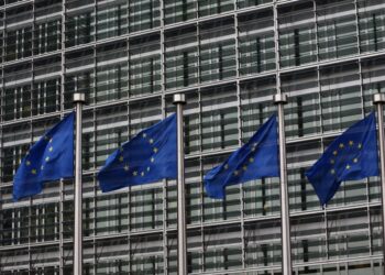 Отдельные страны просят Украину “подождать” вступления в ЕС 10-20 лет, – Качка