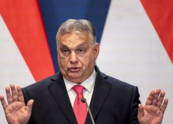 Скандал с Венгрией: зачем Орбану захват инкассаторов и будет ли дефицит валюты в Украине