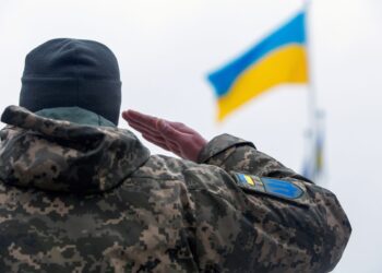 Вместо бумаг – “Армия+”. Кабмин дал зеленый свет реестру ВСУ: что изменится