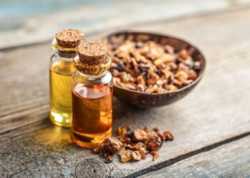 Посуха загрожує миррі, яка є важливою для елітних парфумів