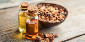 Посуха загрожує миррі, яка є важливою для елітних парфумів