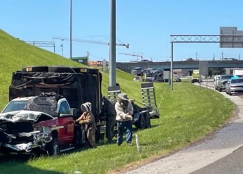 У США мільйон бджіл заблокував з’їзд з автомагістралі після ДТП вантажівки