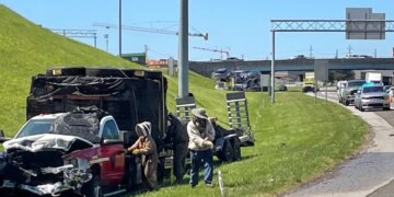 У США мільйон бджіл заблокував з’їзд з автомагістралі після ДТП вантажівки