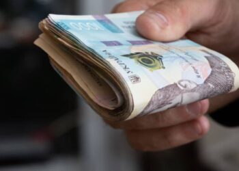 Пенсия в один клик: как оформить выплаты дистанционно с помощью Дія.Підпис