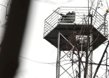 Частная ПВО в Украине уже сбивает “шахеды”: как работает система и кто может заказать защиту