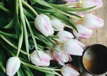 26 квітня: Яке сьогодні свято, все про цей день