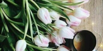 26 квітня: Яке сьогодні свято, все про цей день