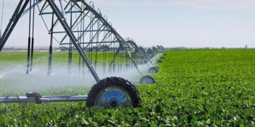 Алгоритм определения зон рискованного земледелия для предоставления господдержки аграриям обнародовало Минэкономики