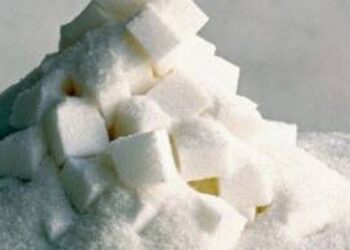 Украина в 2025/26 МГ сократит экспорт сахара на 19,7% – до 505 тыс. тонн – УКАБ
