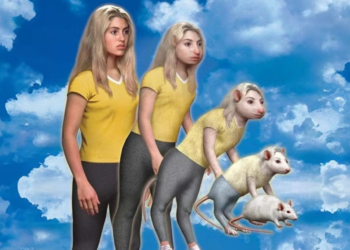 Ужасные превращения в животных — снова на экране: сериал “Аниморфы” выходит на Disney+ благодаря Райану Куглеру