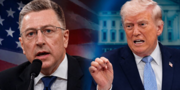 Волкер указал на главную ошибку европейцев в общении с Трампом