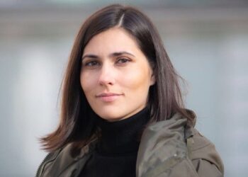 “Датская” модель покупки оружия для Украины под угрозой из-за НДС и ввозной пошлины – депутат