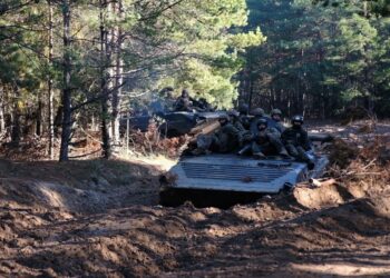 Враг под прикрытием “зеленки” рвется в лес на Днепропетровщине: в ВСУ объяснили цель